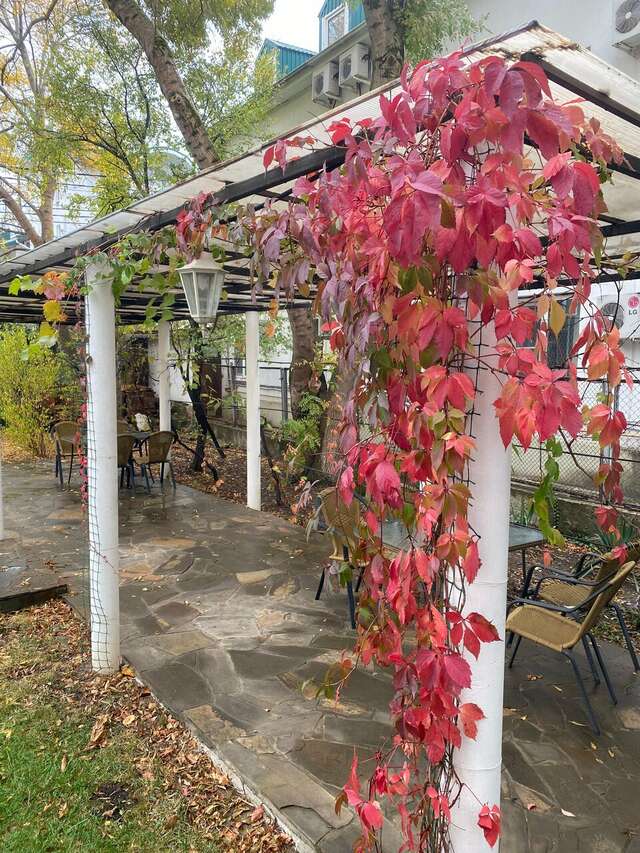 Гостевой дом Черноморская 3 Дивноморское-15